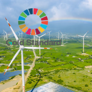 Gold Standard GS0905 Wind Power Carbon Offset in Turkey