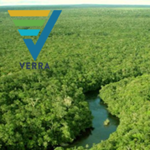 VERRA VCS 0832 Forestry Carbon Offset in Brazil
