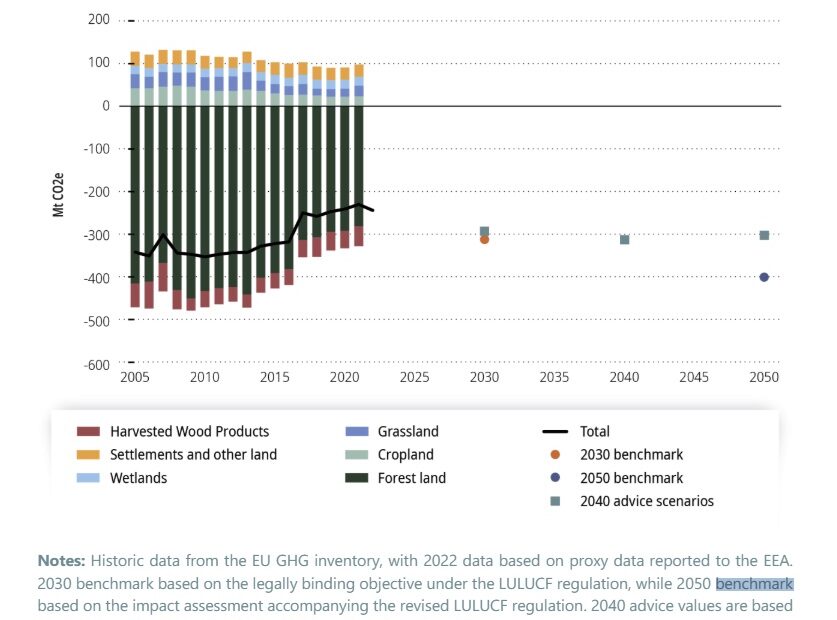 Despite dilution, officials say new nature law can restore EU carbon sinks