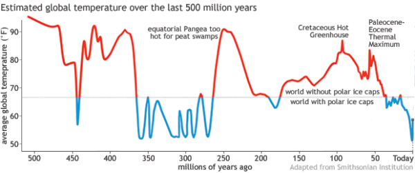 A slightly cartoonish time series from the Smithsonian for the last 500 Ma. 