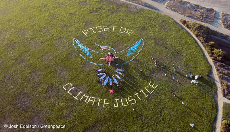 The picture shows an installation made in the grass, from a birds eye view. The installation spells out the words "RISE FOR CLIMATE JUSTICE", the words surrounding the image of a bird. The bird has its wings spread out, and contains blue in the wings and some red on the body, as well as a bit of orange on the beak.